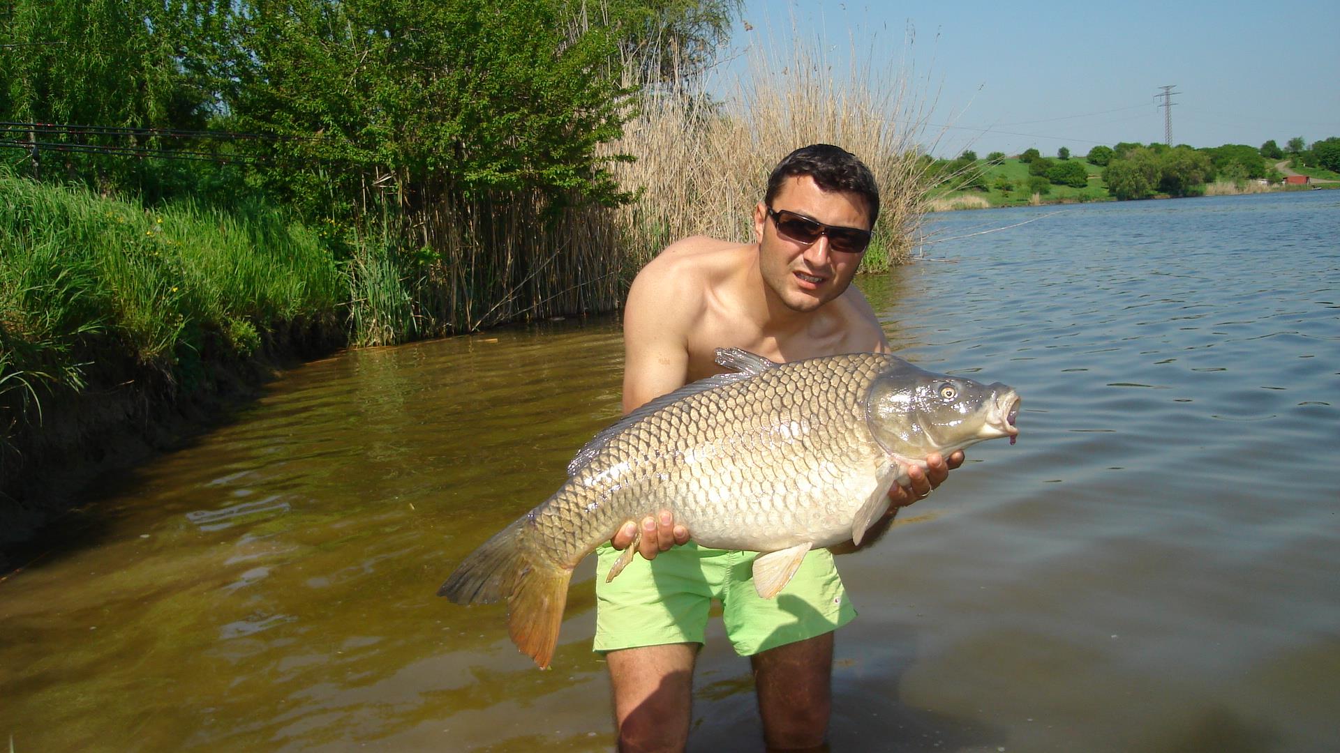 Tancabesti - dsc0333611.JPG